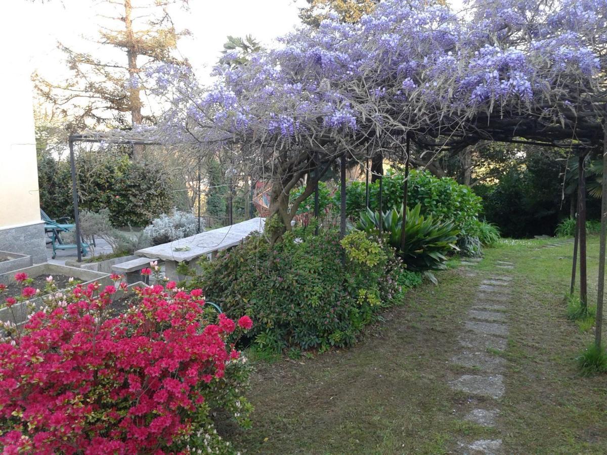Swanlake Rooms Nebbiuno ภายนอก รูปภาพ