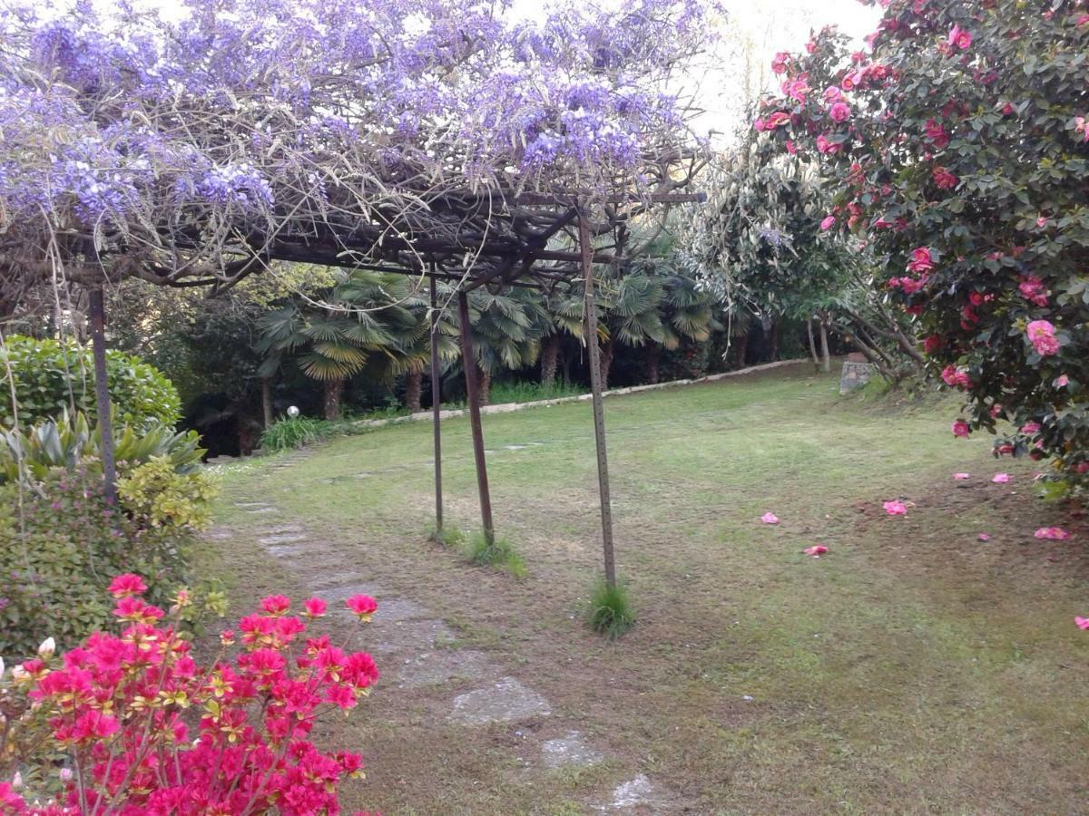 Swanlake Rooms Nebbiuno ภายนอก รูปภาพ